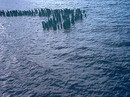 die Ostsee
