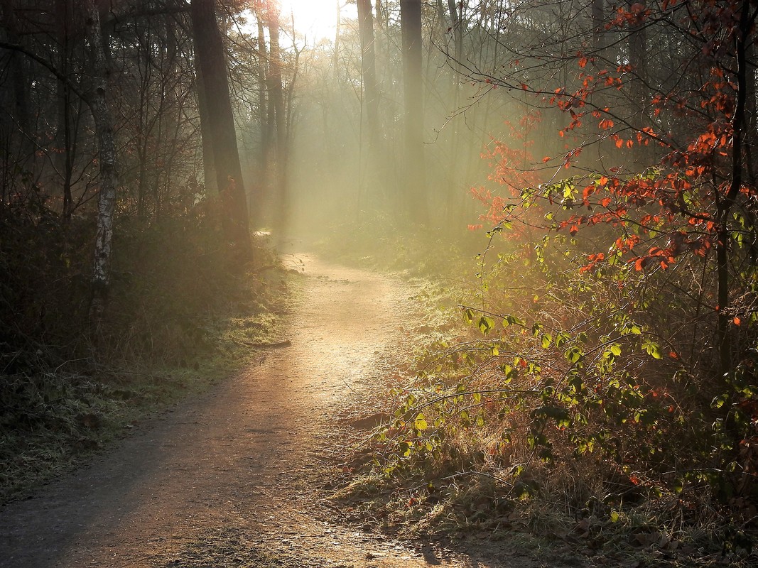 Klövensteen erstrahlt