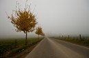 Der Weg nach nirgendwo