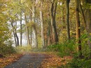 Waldwanderweg