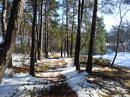 Waldspaziergang