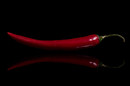 Hot Chili Pepper...