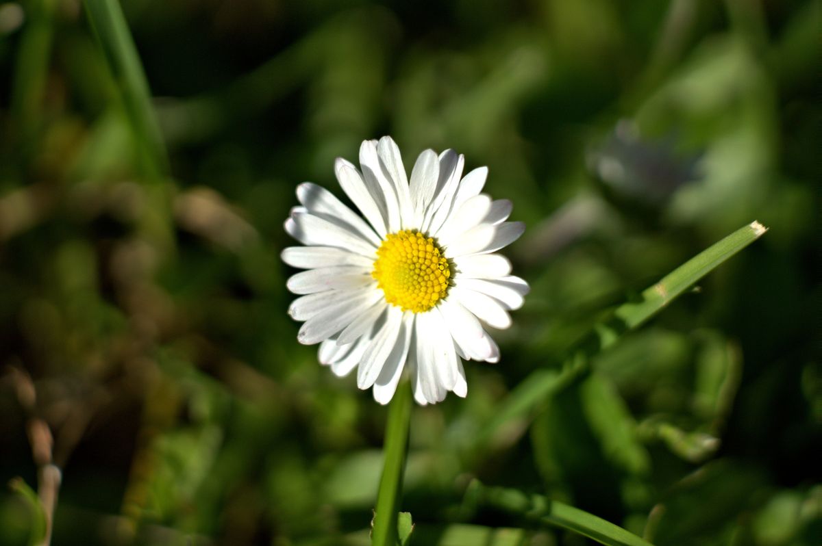 Eierfarben :-)