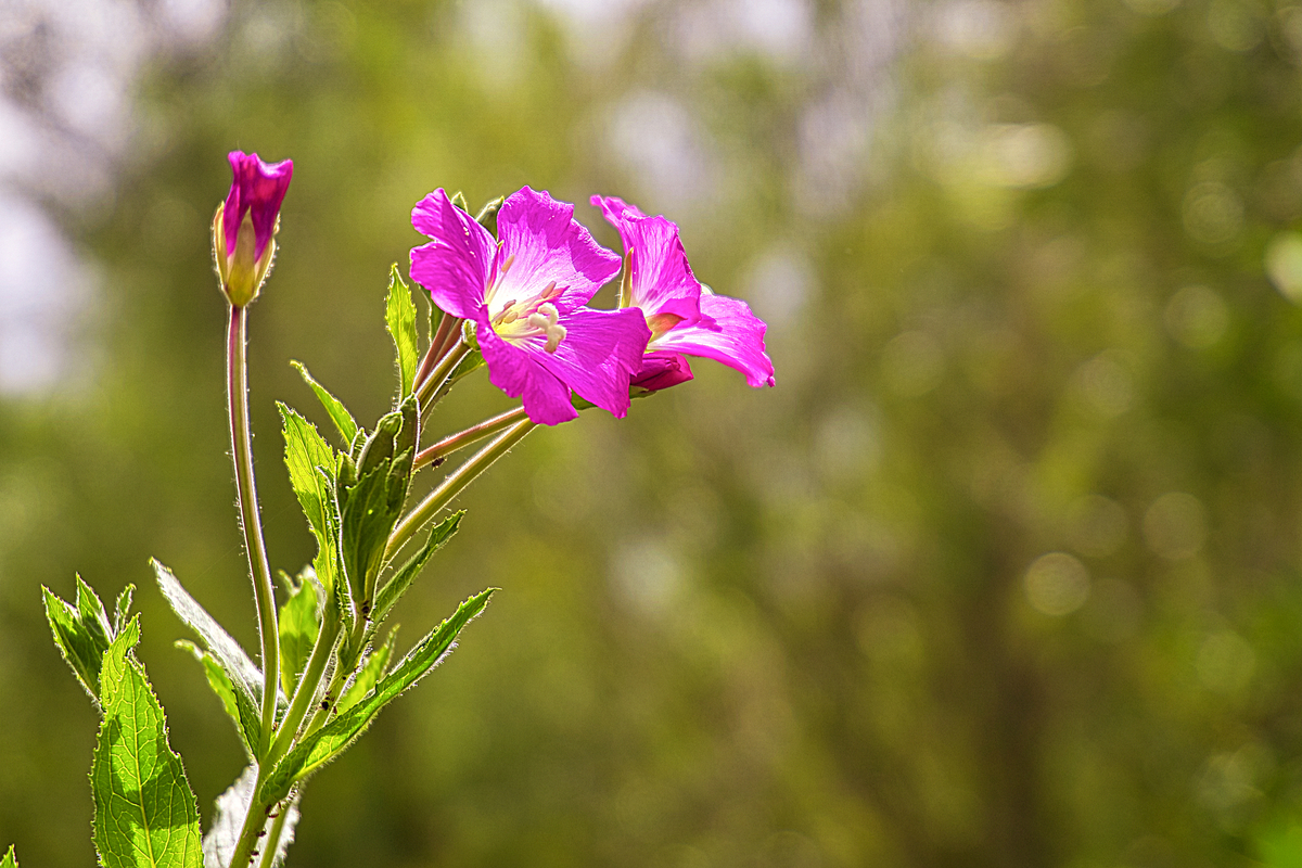 Sieht doch gut aus, oder?