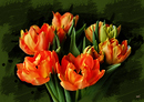 ein Tulpenstrauss
