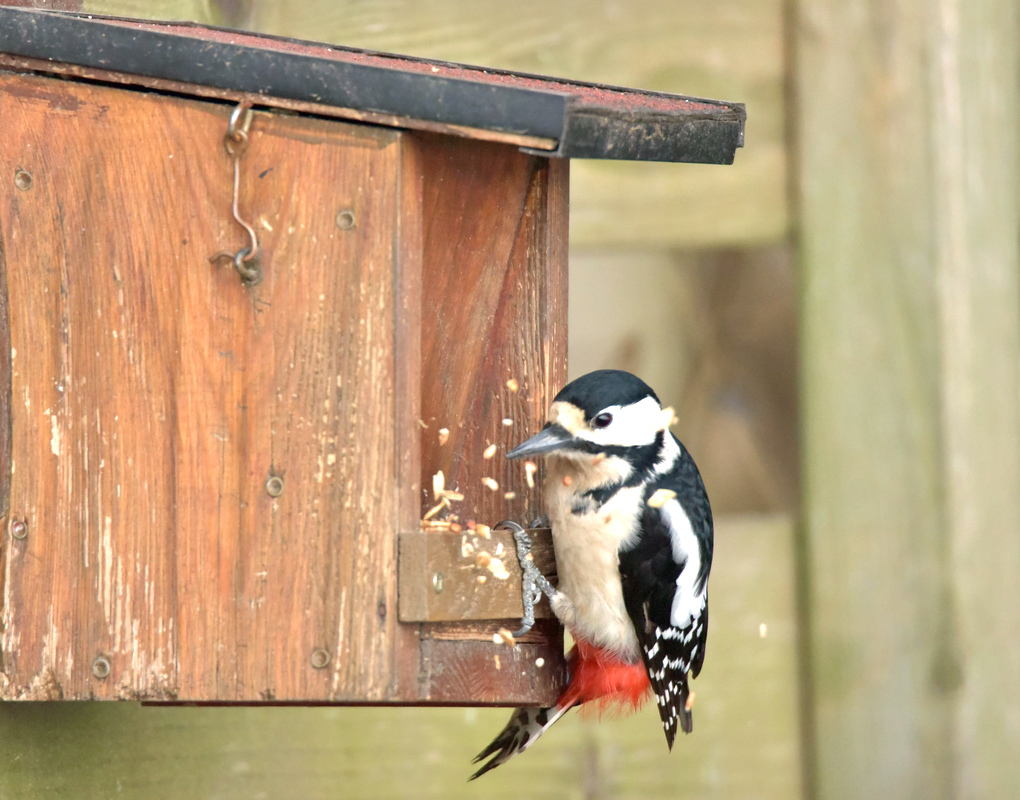hier wird aufgeräumt