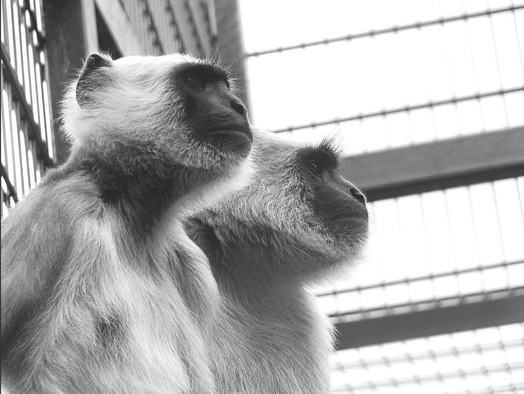" Im Namen des Volkes ..... "