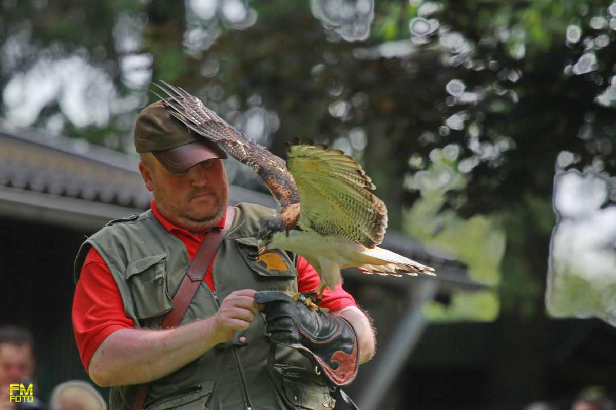 Flugshow in Hellenthal , nach dem Flug 