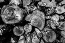 Einfach Holz
