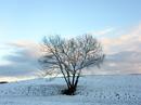 Langsam wird es Winter...