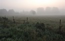 Leichter Morgennebel