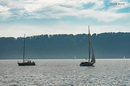 Reichenau