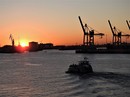 Morgens im Hafen