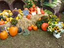 Herbstmarkt
