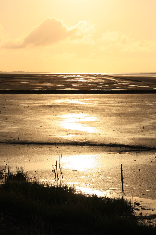 Goldenes Watt