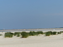 Langeoog vor Augen