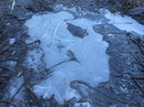 Eiskalte " KUNST"