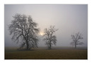 Die Drei beim Sonnenaufgang