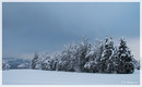Winterzauber