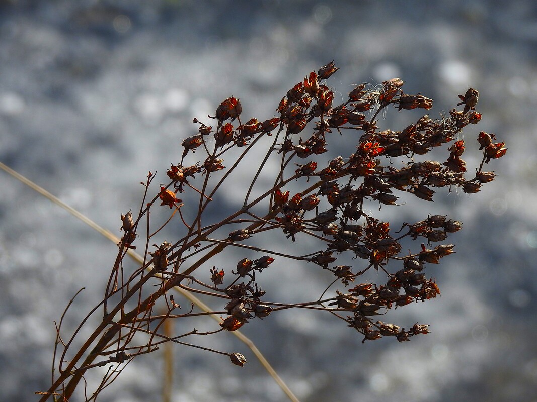 Abschied des Winters