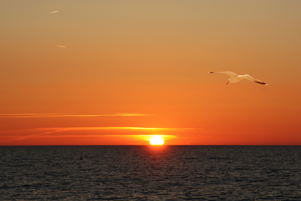 Traumhaftschön am Weissenhäuser Strand  (Sonnenuntergang)