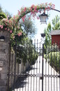 Rosentor