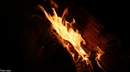 für freunde  durchs  feuer gehn