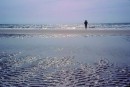 Fotos_Amrum
