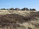 Häuser an den Dünen