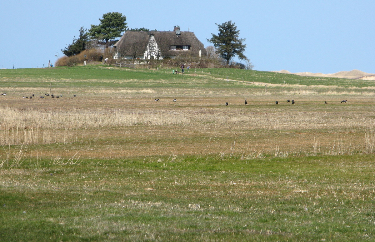 Abschied vom Teehaus Burg (03. Mai 2013) --- 9. Foto ---
