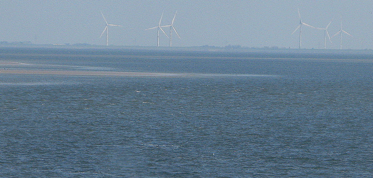 """Filigrane, zauberhafte""" Energiespender grüßen uns vom Festland. (27. Mai 2012/10:48:21 Uhr)