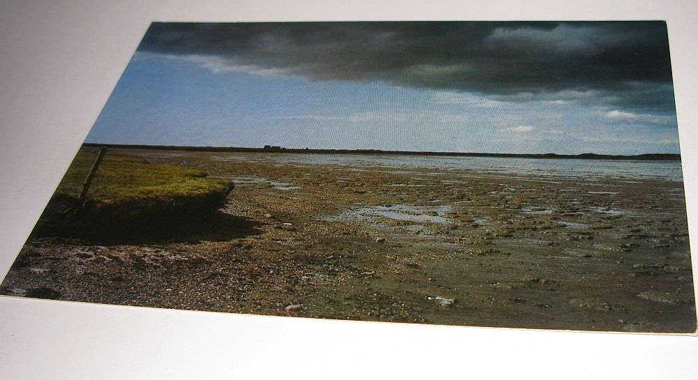 Ansichtskarte Nordsee-Insel AMRUM  Abbruchkante am Watt bei Norddorf   Föörlun bi Noorsaarep - Foto von Georg Quedens