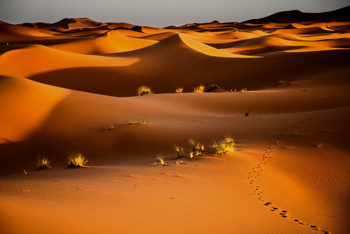 Sonnenuntergang inder Sahara VIII