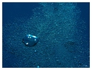 The air in the diver.....