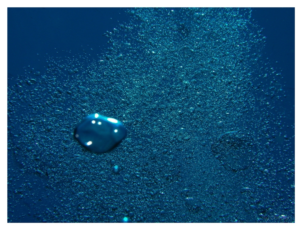 The air in the diver.....