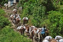 Everest Trek