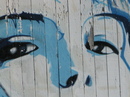 Zwei Augen schauen Dich an.