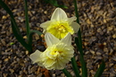 Fotos_Frühling