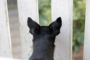 Was gibt´s denn da zu sehen?