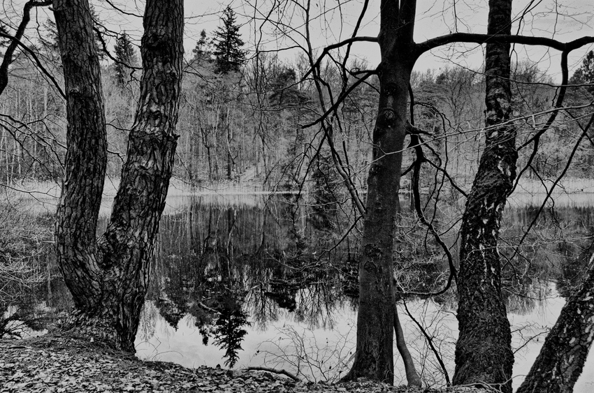 Am Weiher vor dem Regen (Spiegelungen)