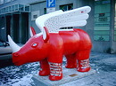 Fotos_Nashorn
