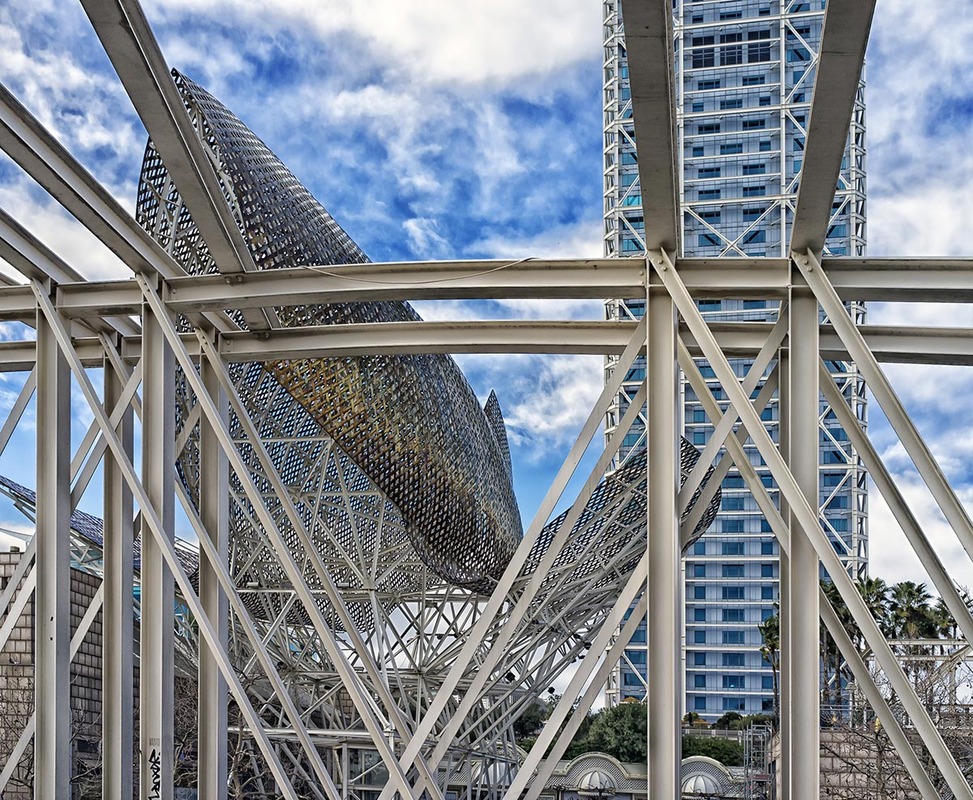 Der goldene Fisch ..