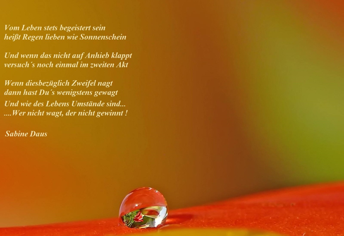 Das größte Geschenk