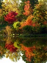 Fotos_Herbst