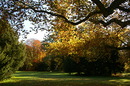Herbststimmung im Schloßpark Krumke 