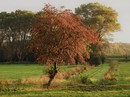Norddeutscher Herbst 2