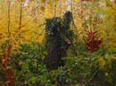Oberglinde im Herbstkleid