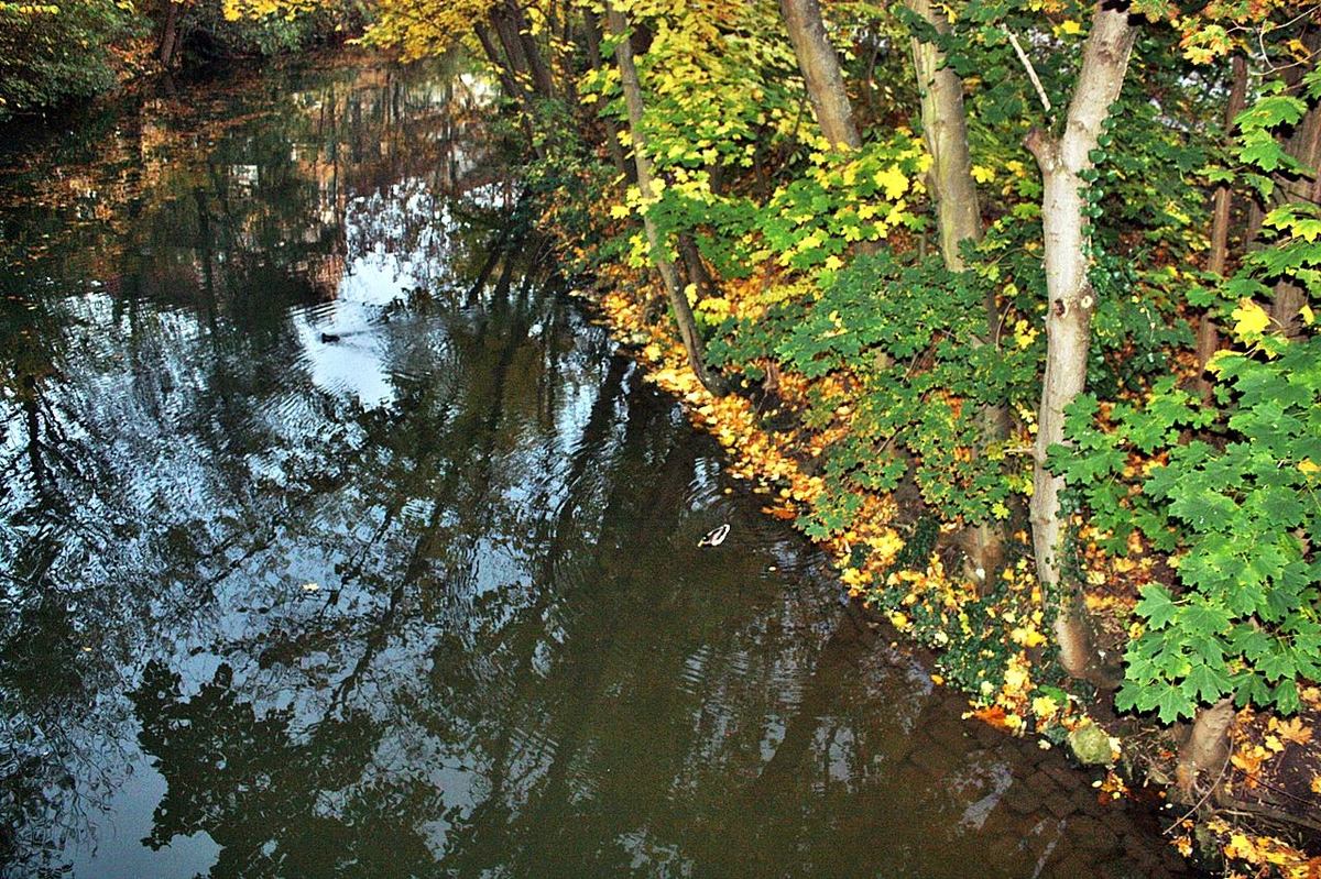 Bamberg aus meinem Archiv ...