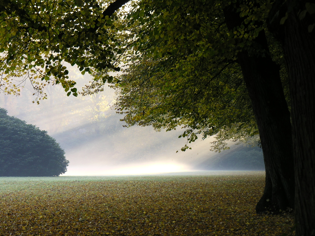 Herbstlich(t)
