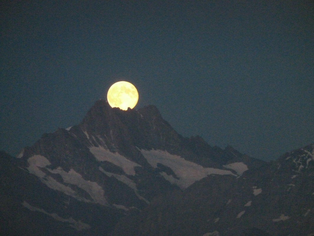 Mondaufgang am Schreckhorn Berner Oberland Schweiz